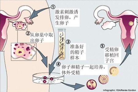 关于明远生殖医学中心